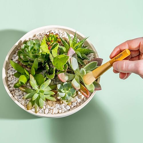 Miniatura 5 de Arum Limpiador de hojas para plantas de interior. Paños de 10 pulgadas de diámetro (9.843 in de diámetro) (cantidad 3) y cepillos de bambú de 4.9