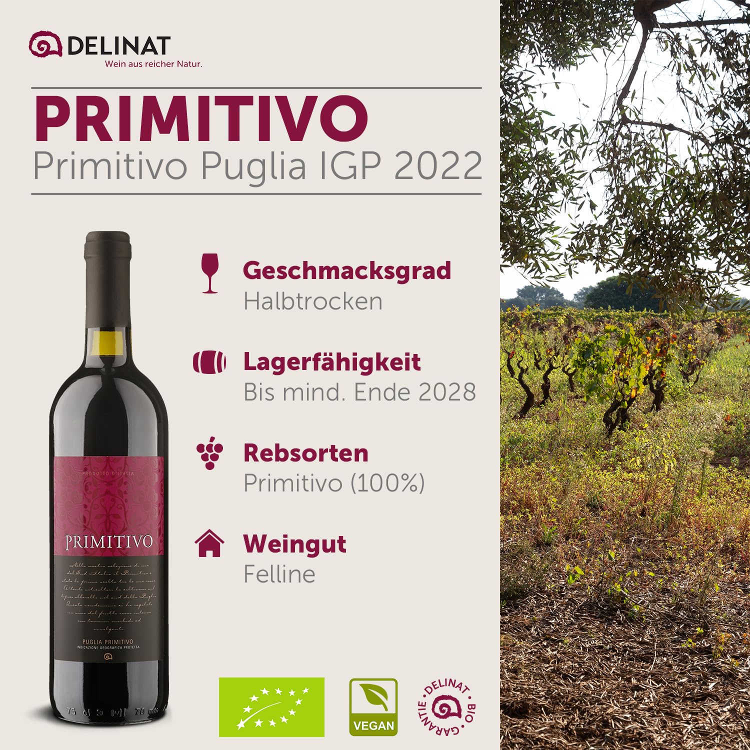 DELINAT Bio Rotwein Set Bella Italia – 6 Flaschen Italien Probierpaket | Rotwein aus den Rebsorten Primitivo, Ripasso & Nero d'Avola – 5x trocken, 1x halbtrocken, veganer Premium Wein 6 x 0,75l