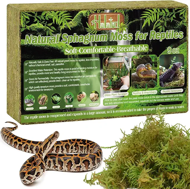 Premium Grünes Moss für Leopardgecko Terrarium - 260g Natürlich & Sicher