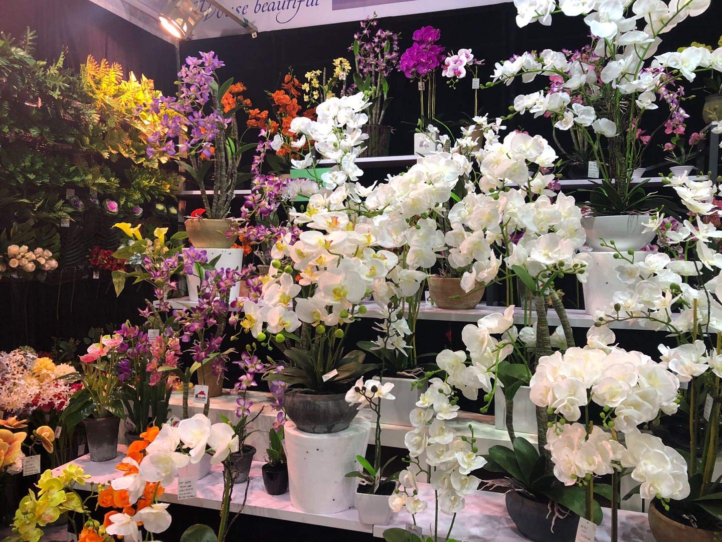 AMERIQUE Wspaniała i unikalna 5 cm sztuczny jedwabny kwiat roślina, z plastikowym doniczką do przedszkola, technologia Feel Real, super jakość, biała orchidea 5 cm