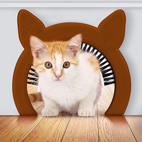 kitty door amazon