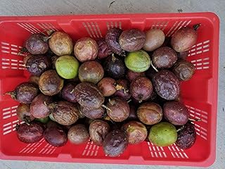 Fresh Passion Fruit by Tang Store, 5 lbs