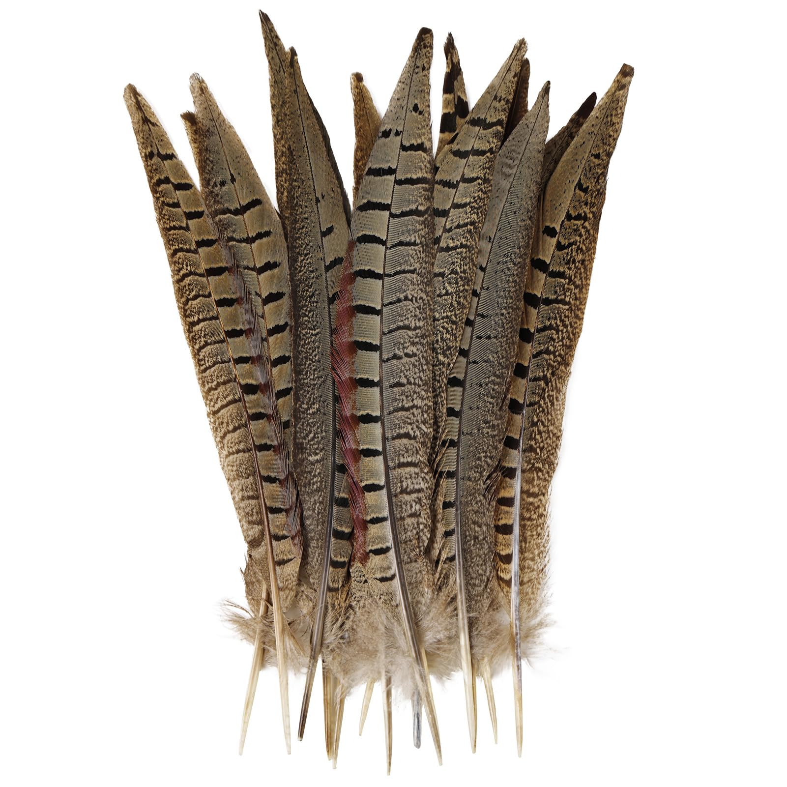 Cenfry dorato naturale fagiano piume frangia costume