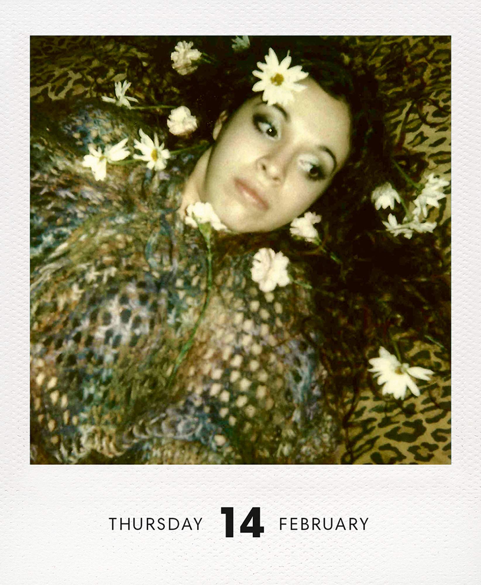 Photodarium 2019: Every Day a new Instant Photo: A Calendar For 2019 With 365 Instant Photos: 8