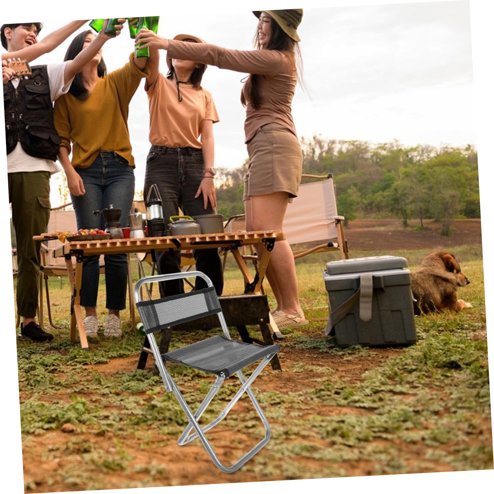 Amazon.com: Toddmomy Fishing Chair Foldable Camping Stool