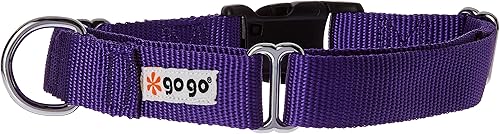 Vista 125 de GoGo Pet Products GoGo - Collar de perro Martingala de 3/8 pulgadas, talla XS, color naranja