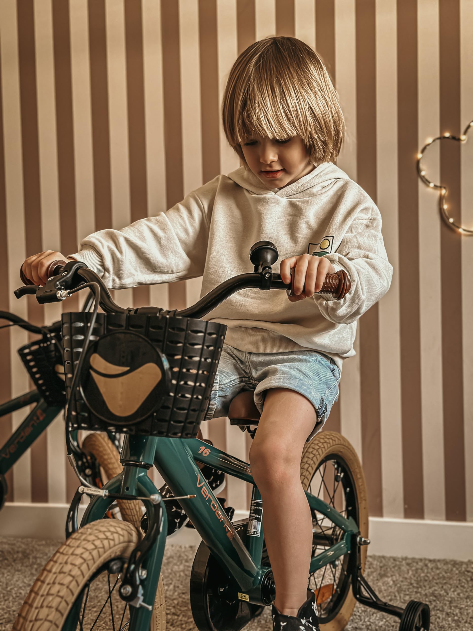 sun baby Verdant Bike Bicicleta Infantil de niño con Ruedas de Entrenamiento 12/14/16 Pulgadas, de niño 2-6 años, Manillar Ajustable y Timbre, V-Break y Freno de Torpedo