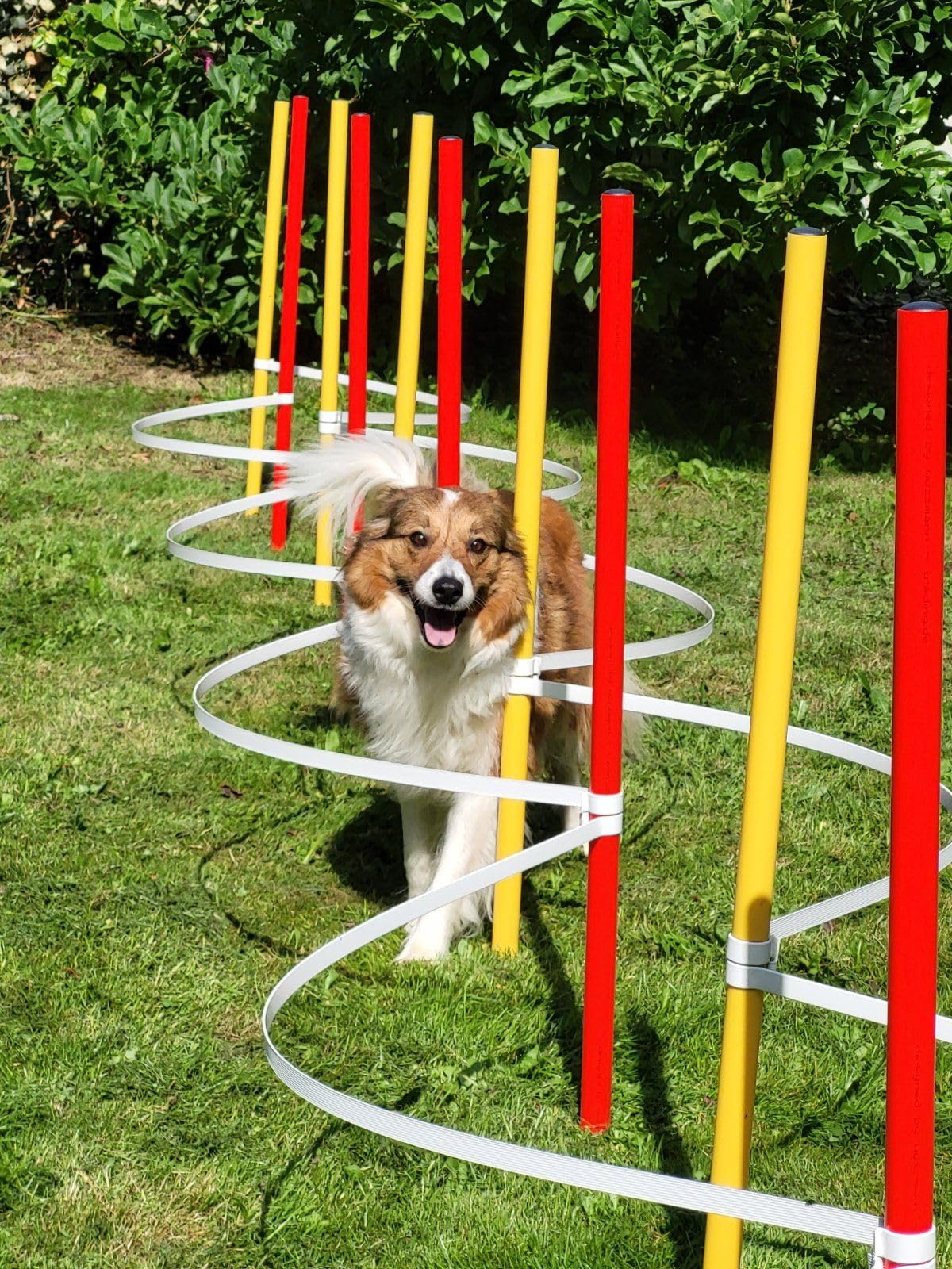 Generisch STECK-Slalom - AUSBILDUNGSSET / 10 SLALOMBÖGEN + 12 STANGEN(32mm)