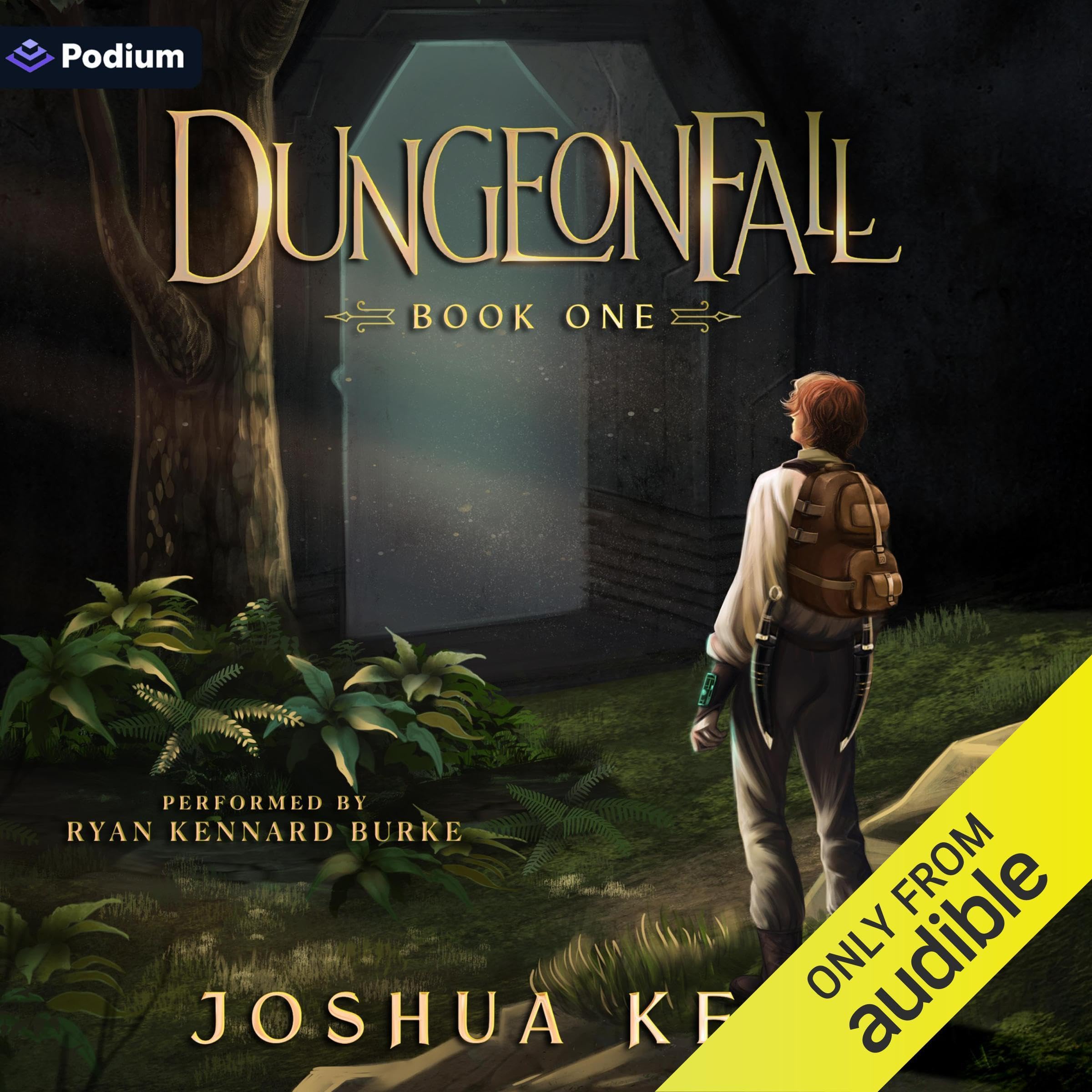Cover art for DungeonFall