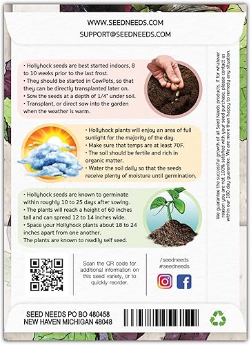 Miniatura 2 de Seed Needs, Black Hollyhock Seeds - 100 semillas tradicionales para plantar Alcea rosea - Ideal para jardines góticos, Bienal de polinización