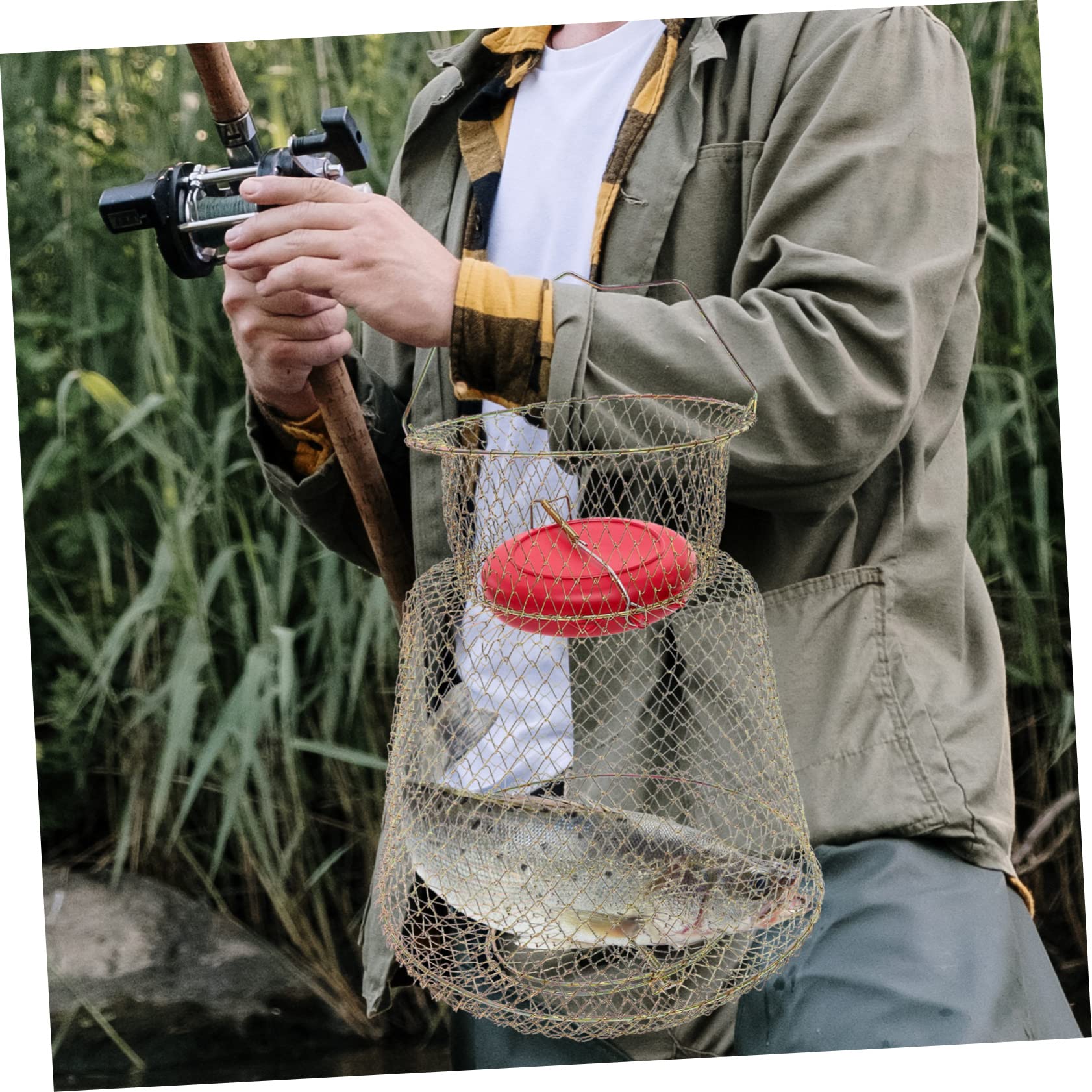 Cestino della guardia di pesce filo trappola per pesci cesto di pesce per il pesce pescato gabbie cantra gabbia da pesca rete a rete per gamberi di pesce porta pesca ferro da stiro