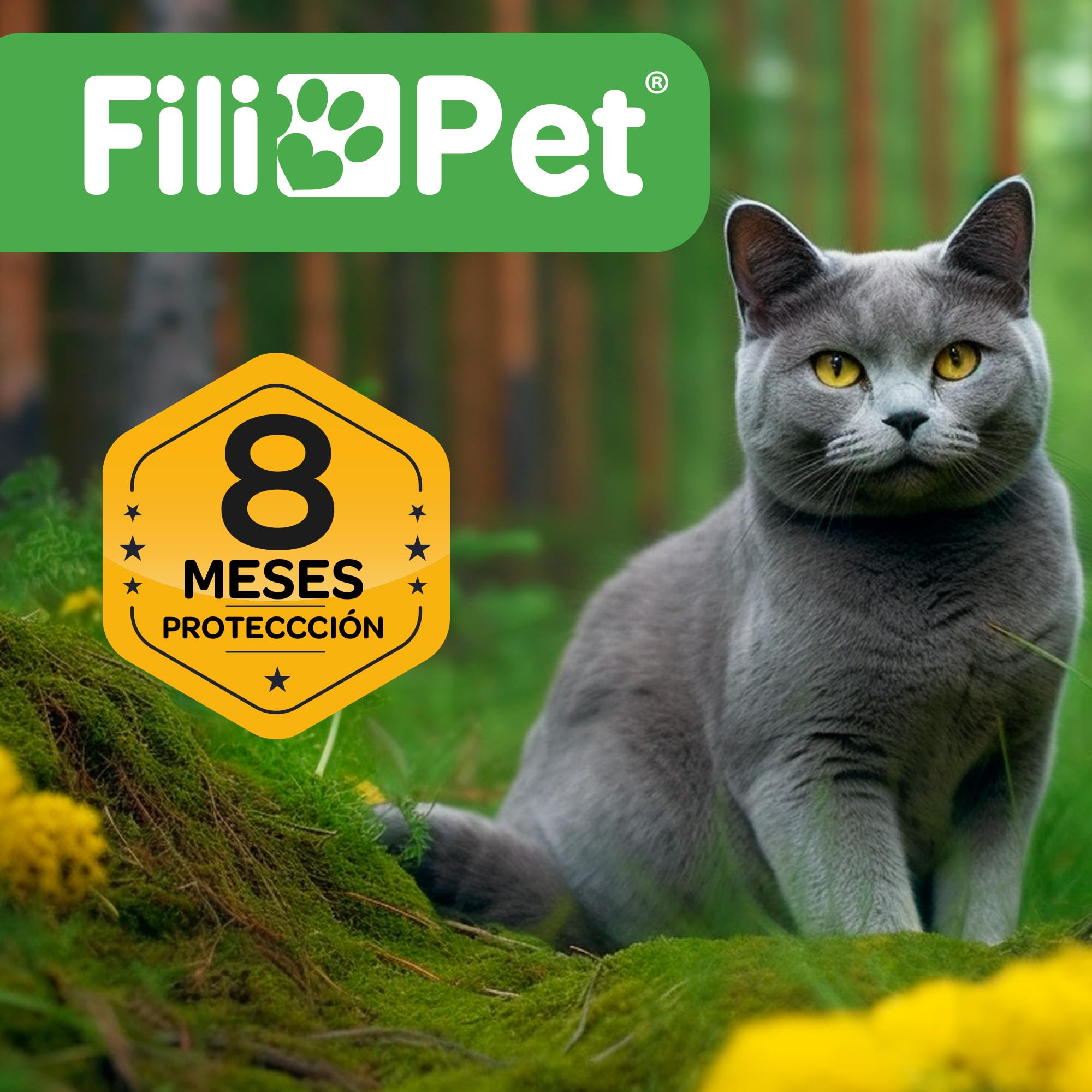Collar Antiparasitario para Gato en, 8 Meses de Protección, Eficaz contra Pulgas, Garrapatas, Mosquitos y Piojos, Resistente al Agua, 38 cm de Largo, Ajustable (Amarillo)