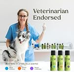PAWFUME Dog Perfume Spray Long Lasting Scent for Grooming, Show Dog, 1-Pack – Keep Your Pup Fresh All Day – Hypoallergenic, Alcohol-Free, Detangling & Moisturizing – Salon-Quality Cologne Spray