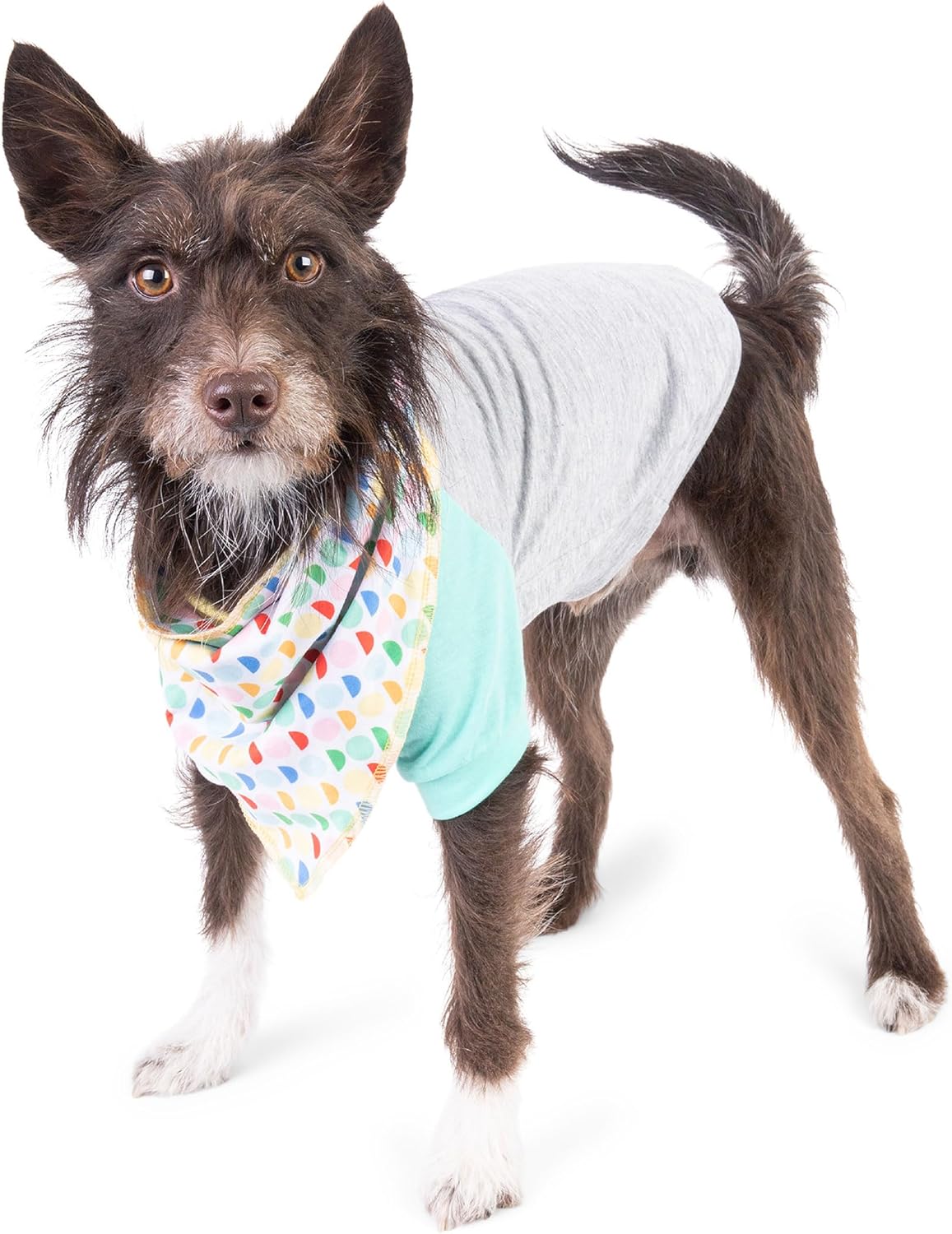 The Dodo Dog Bandana & Colorblock Tee Pet Apparel Set, Size Medium; Grey, Green & White Dog Tshirt, Cute Matching Pet Clothing Accessories, Everyday Pet Apparel Accessories Medium Multicolor