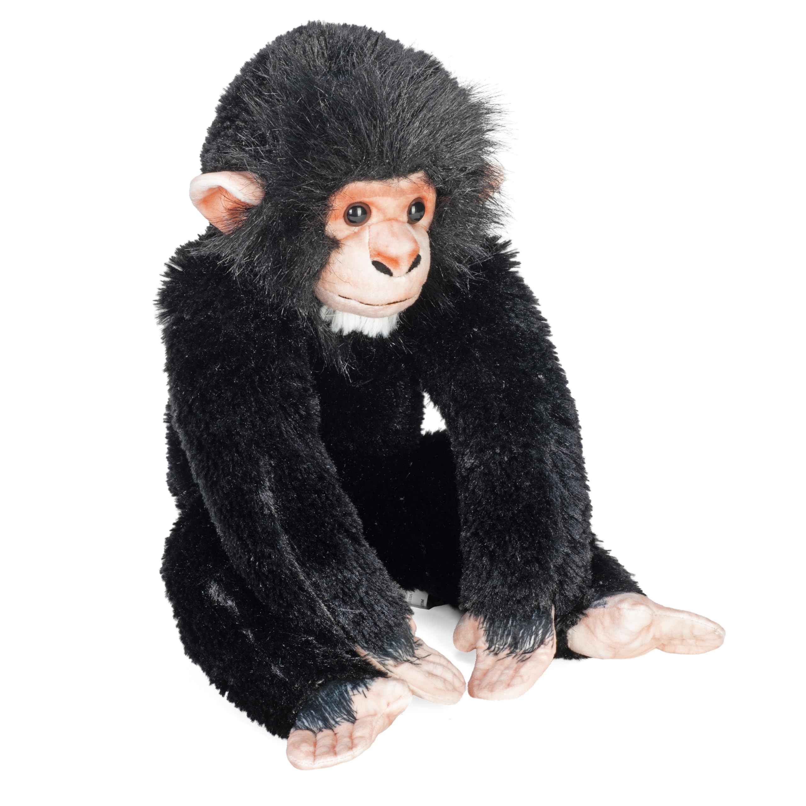  ぬいぐるみ monkey Mサイズ Amazon.com: Wild Republic Artist Collection Eco Chimpanzee Baby