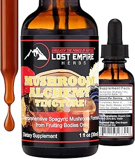 Lost Empire Herbs Mushroom Alchemy – 7 Medicinal Mushrooms Spagyric Tincture Blend - Reishi, Turkey Tail, Maitake, Shiitake, Lion's Mane, Artist Conk, Chaga (1 fl oz)