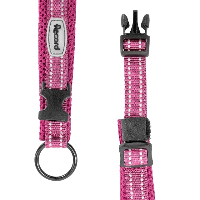 Foto 4 de 5 de Record - Collar Perro Andes - Fabricado en Nylon Resistente - Detalles Reflectantes
