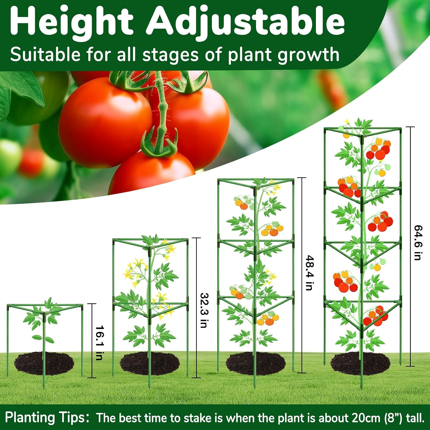[Upgraded] ZeeDix 65 Inch Tall Tomato Cages for Garden – 4 Pack Heavy Duty Large Plant Support Stakes, Adjustable Tomatoes Trellis for Climbing Plants, Pots & Outdoor Raised Garden Beds