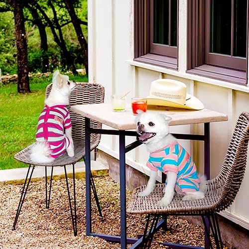 Miniatura 6 de TONY HOBY Pijama para perro hembra, camisa para perro con rayas coloridas, ropa para mascotas para perros pequeños y medianos (rosa y azul, niña, L)