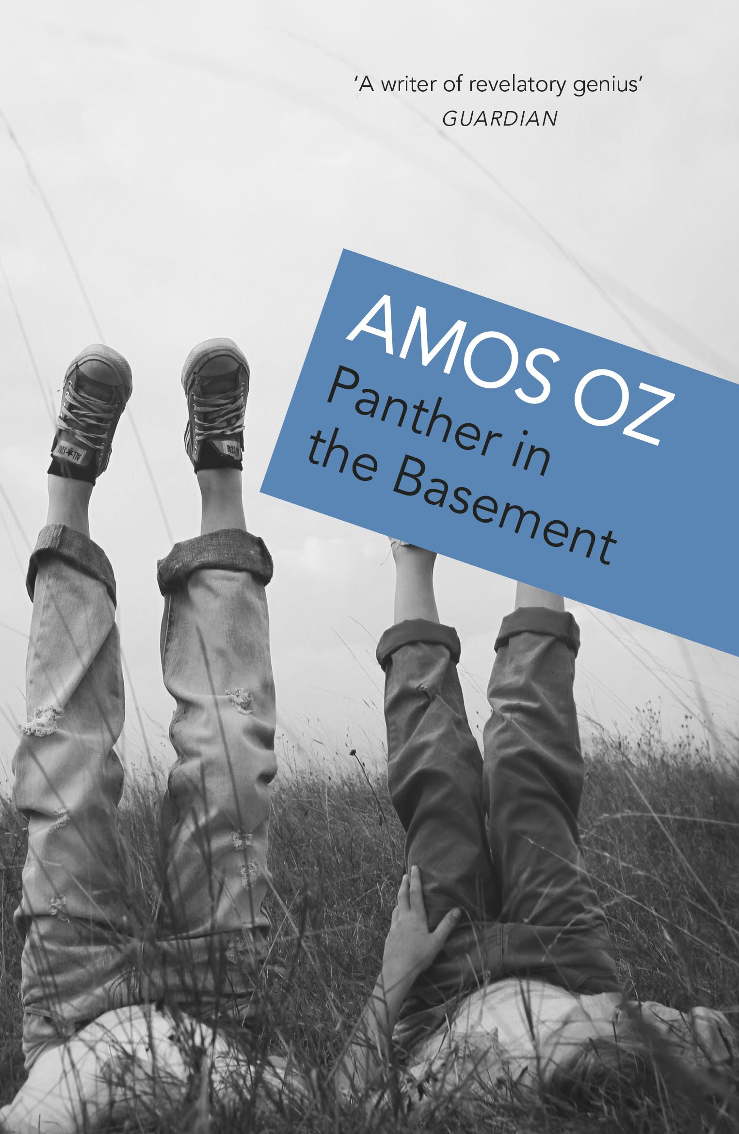 Panther In The Basement: Amos Oz: 9780099754015: Amazon.com: Books