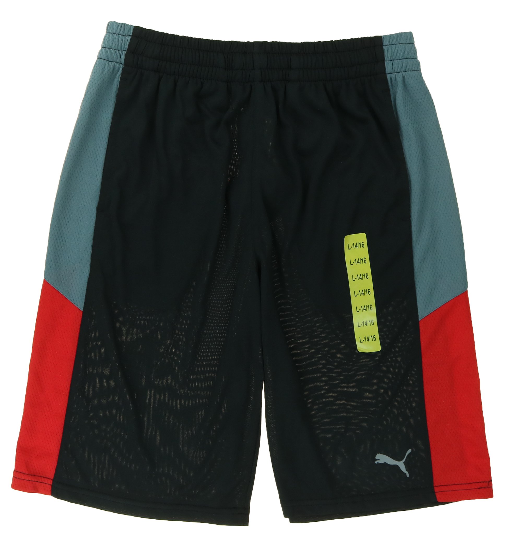 PUMA Youth Boys Lifestyle Athletic Short (Large 14/16, Black / Red)