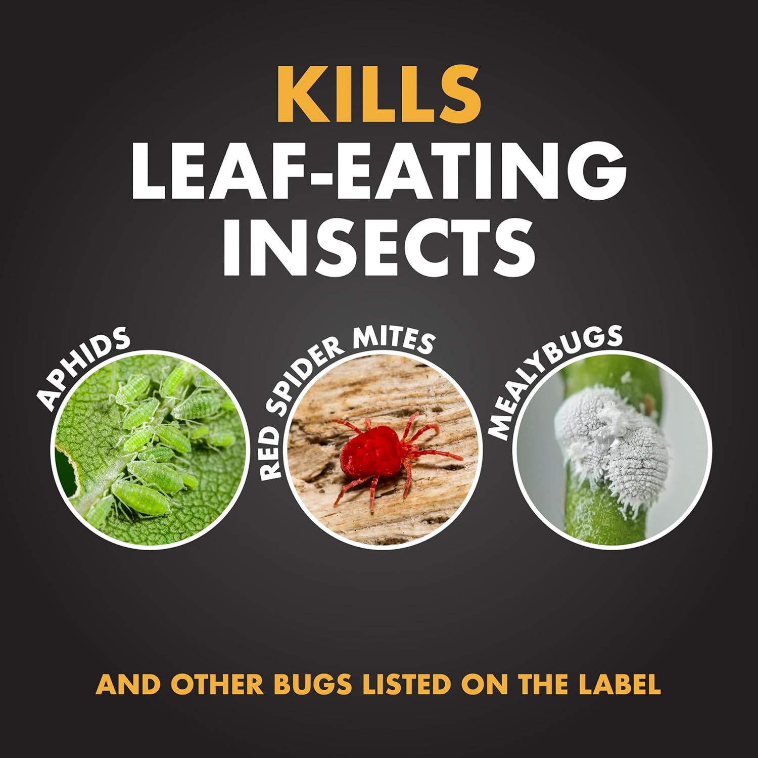 Spectracide Malathion Insect Spray Concentrate, 32-fl oz, 6-Pack