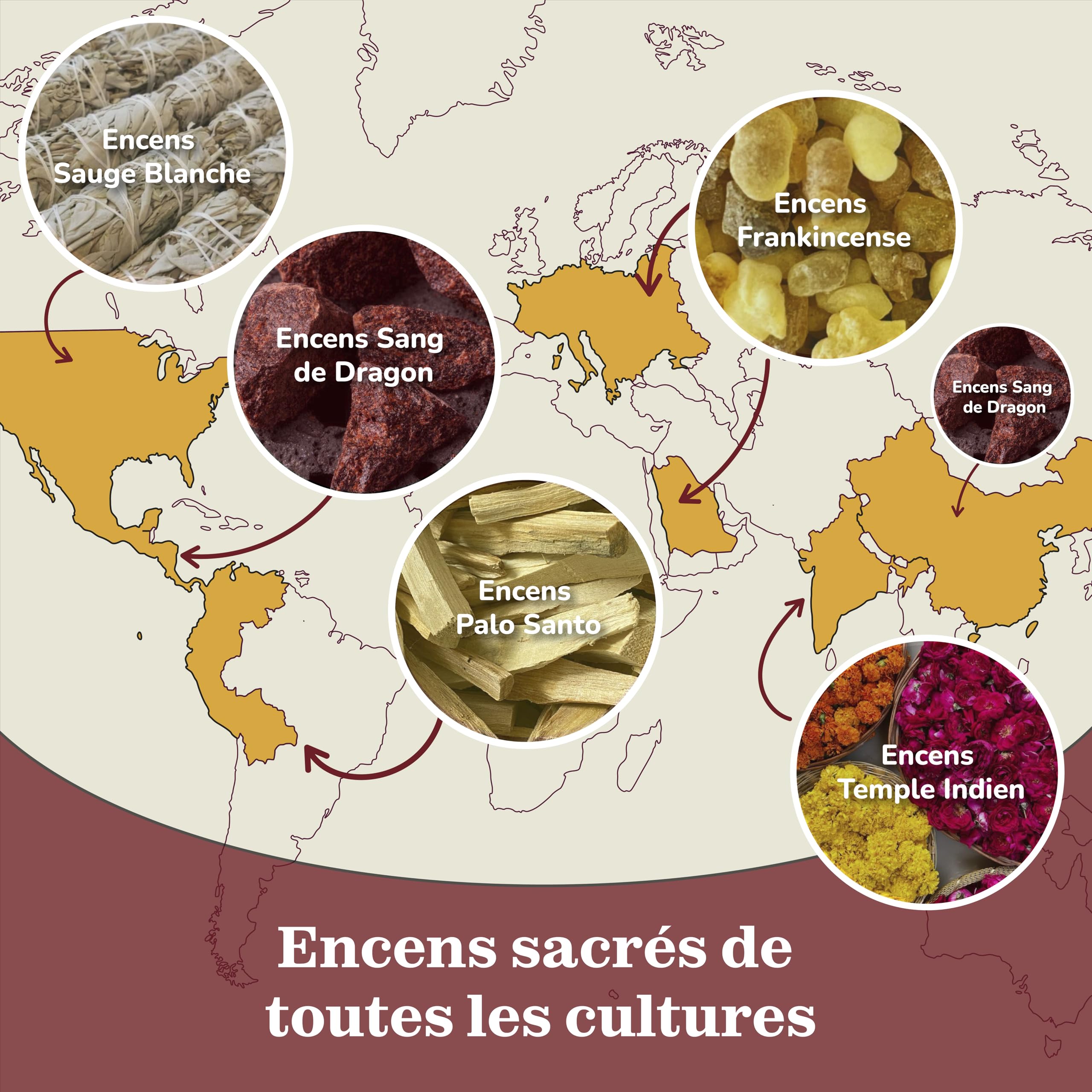 Baton Encens Naturel Pack Variété 90g sans Charbon Fabriqué à partir de Fleurs Recyclées Frankinscène Myrrhe Sauge Blanche Palo Santo Sang de Dragon