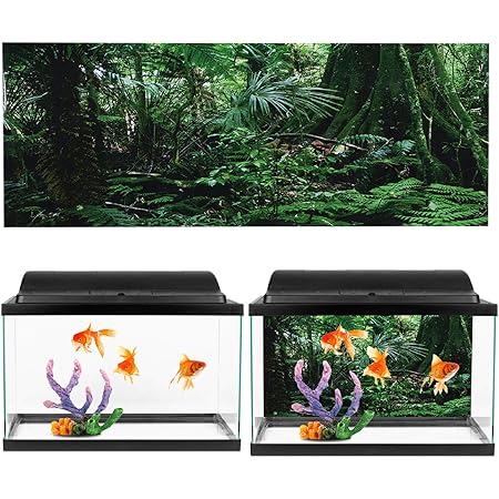 Camidy Aquarium Background Sticker Rainforest Pattern Pvc Self Adhesive Sticker For Reptile Box Fish Tank Wall Picture Decoration Amazon Co Uk Pet Supplies