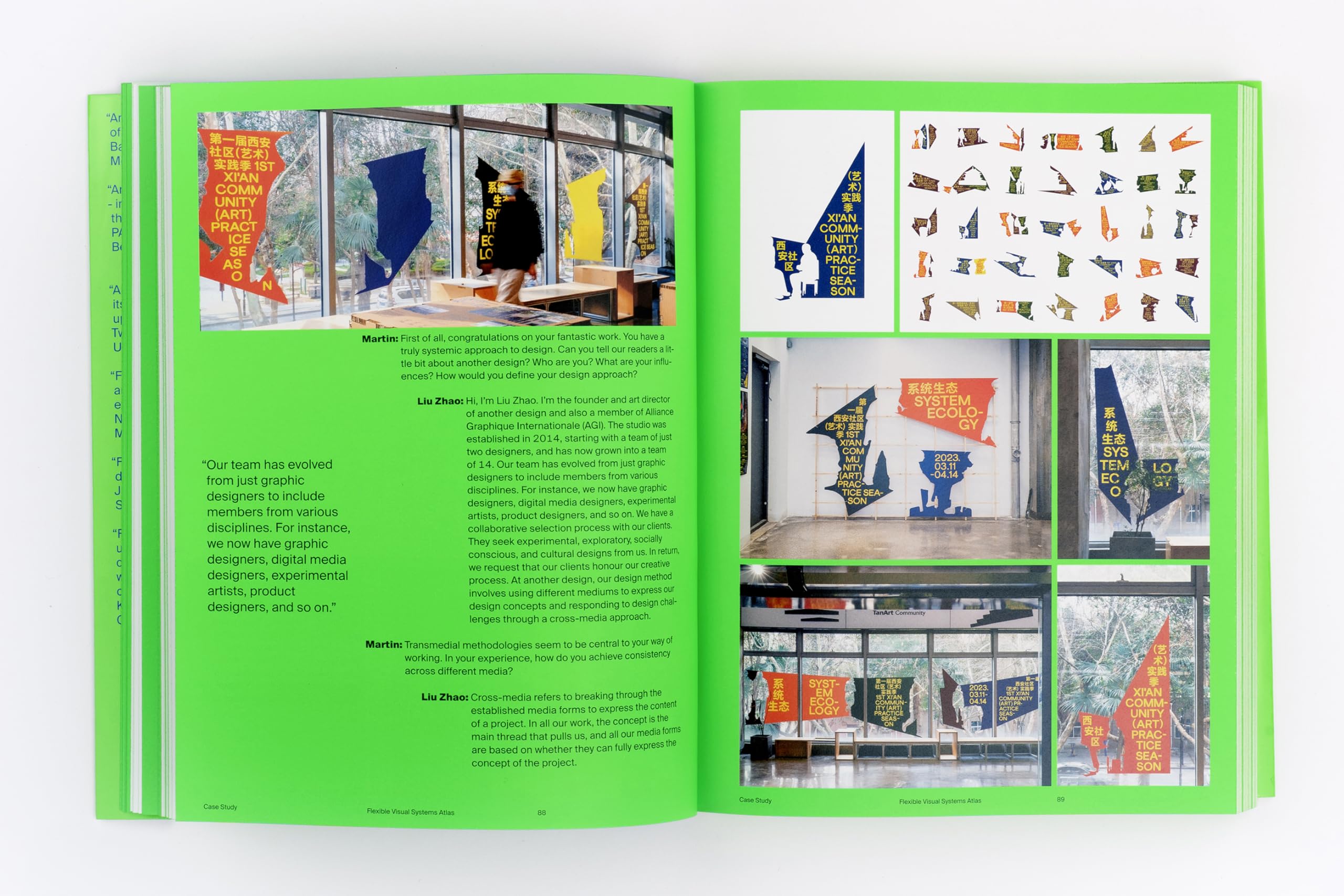 Flexible Visual Systems: The Fvs Atlas