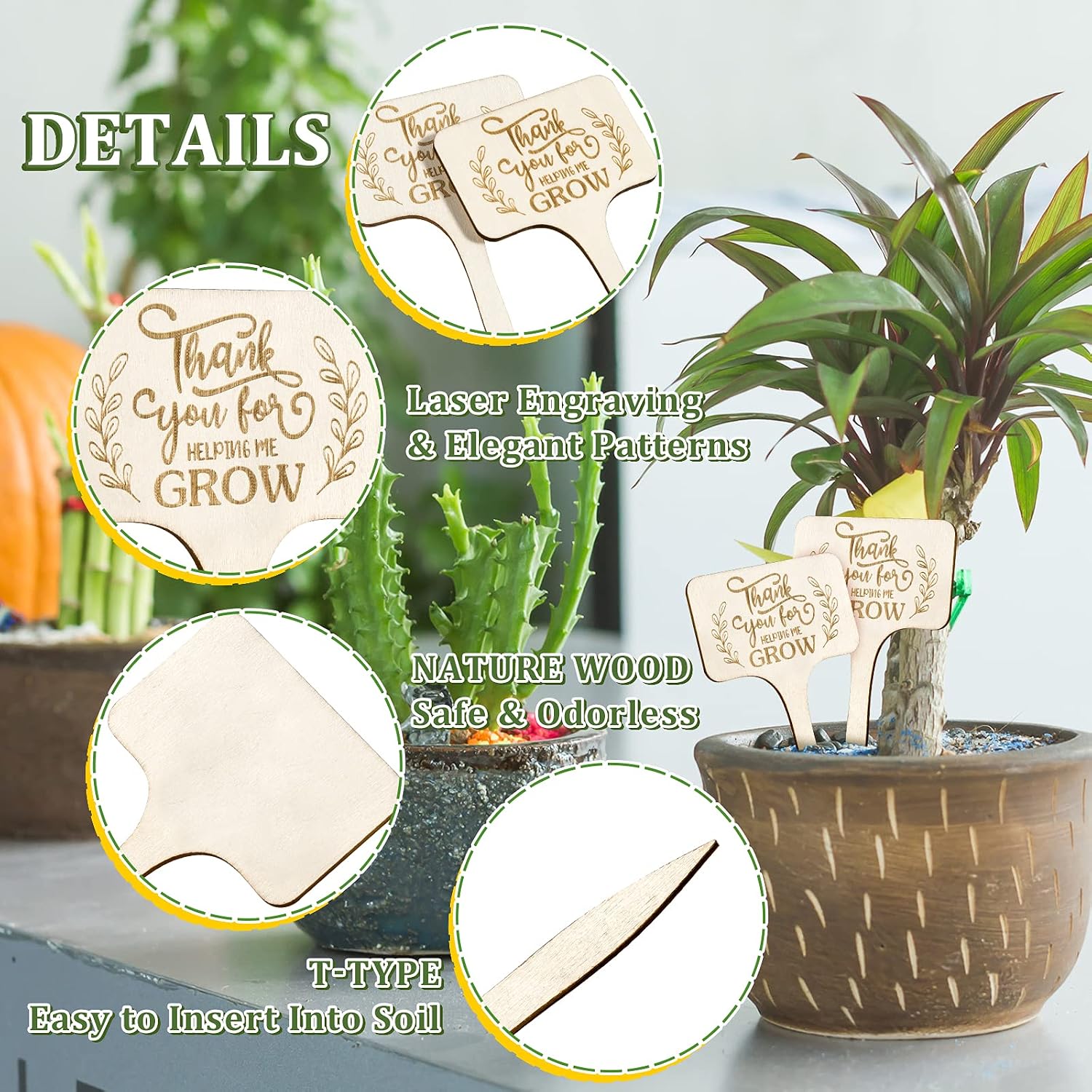 AnyDesign Succulent Wooden Tags Thank You for Helping Me Grow T-Type Pointed Wooden Plant Stakes 30 Pcs Marker Tags Decorative Garden Supplies for Teacher Appreciation Gift Thanksgiving Baby Shower image 3