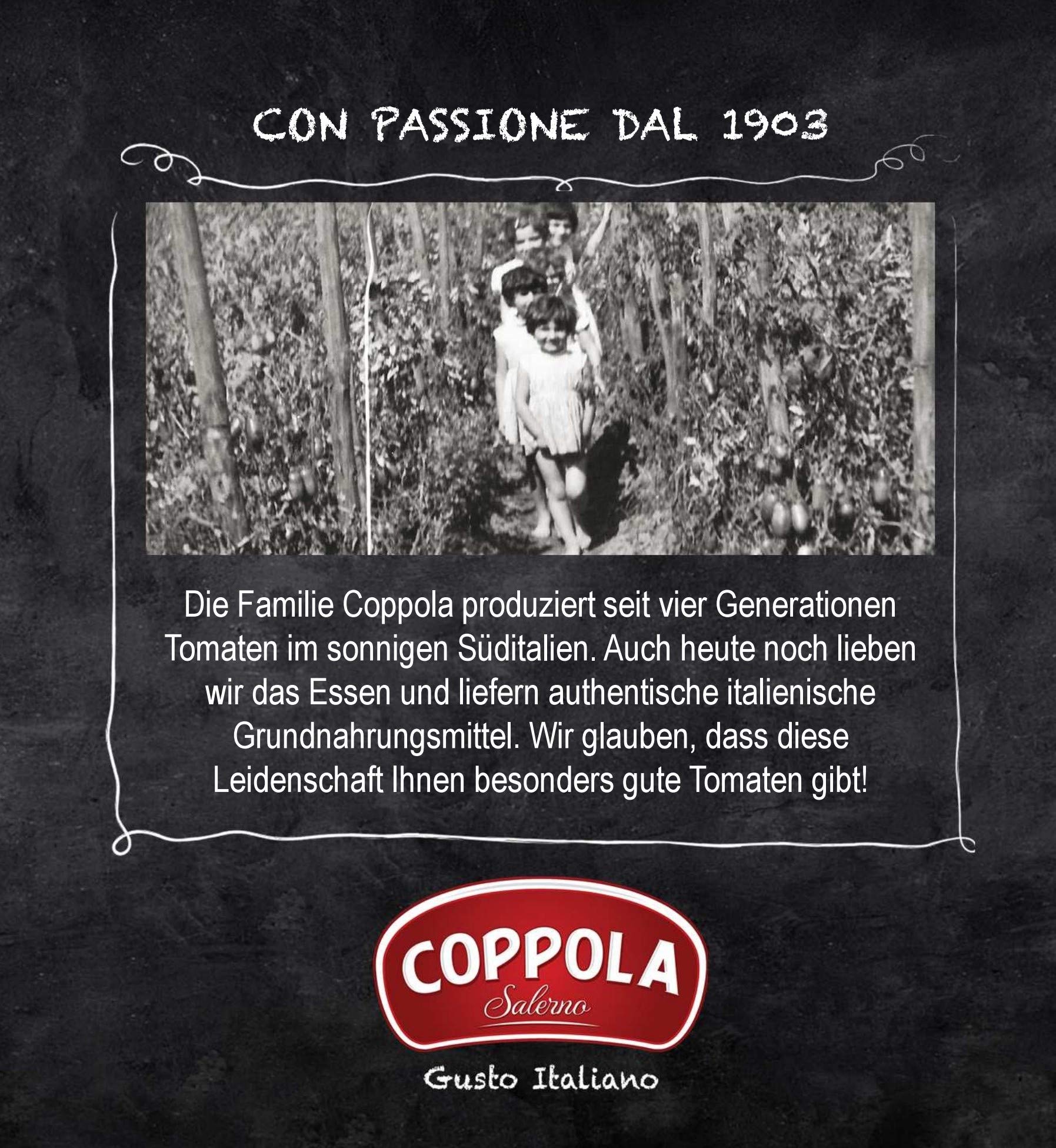 Coppola Polpa Fine - Senza sale aggiunto 400g (Confezione da 12)