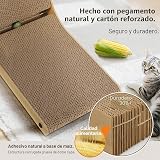 Ver la foto 6