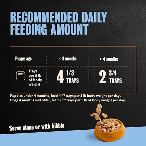 Miniatura 5 de Cesar Puppy Filets in Salsa Alimento húmedo para perros, receta de pollo, bandejas fáciles de pelar, 24 unidades