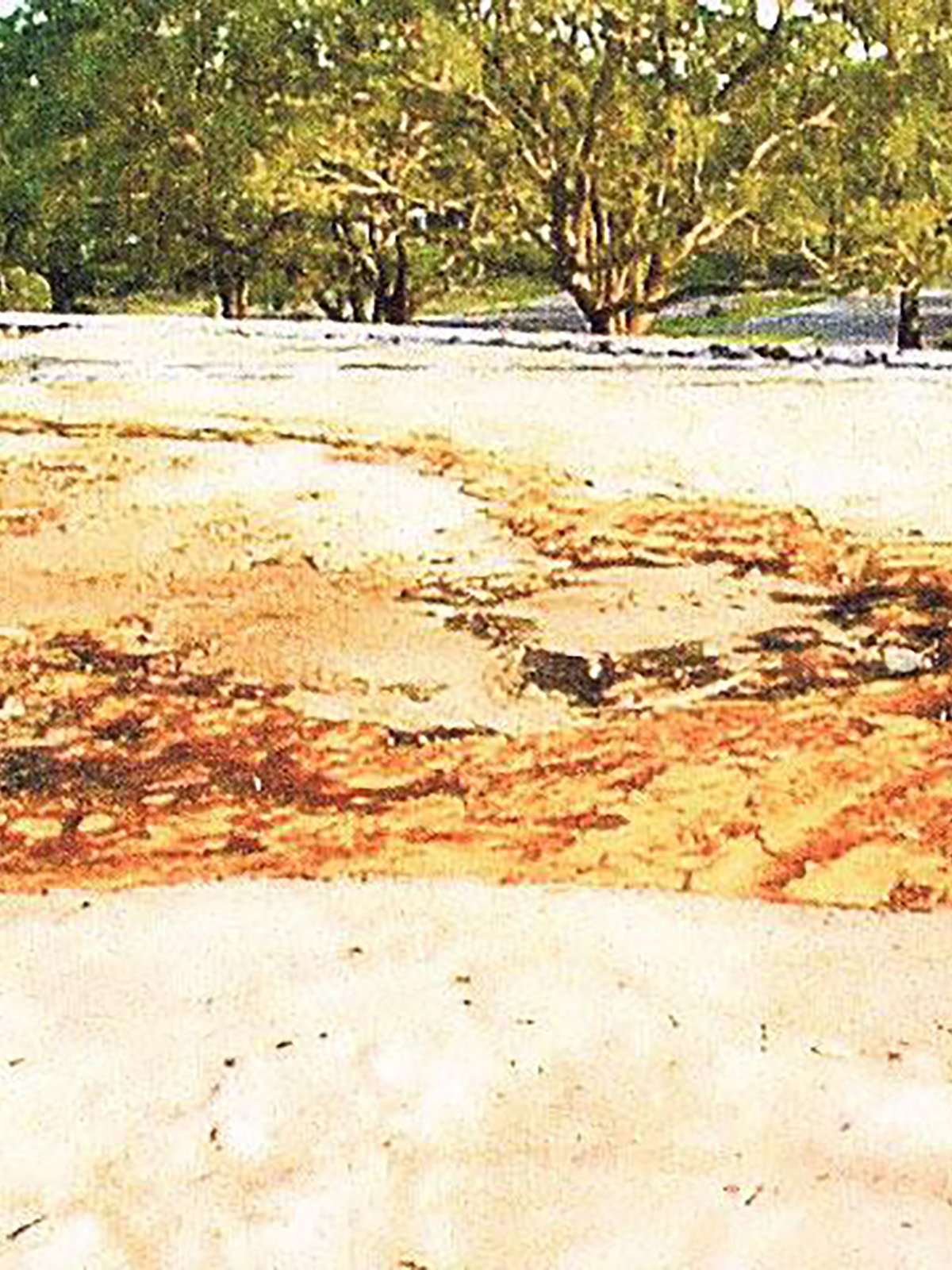 Clark Toxic Aftermath