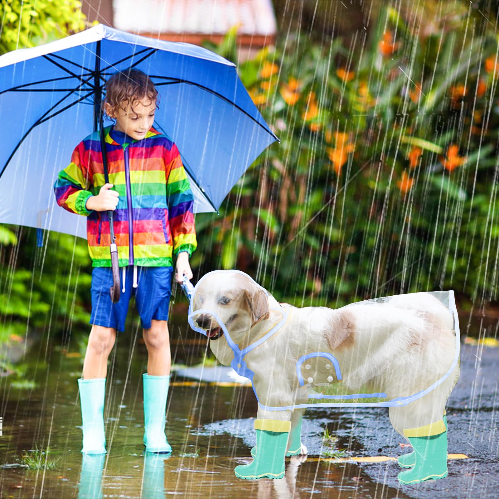 PETCUTE Manteau de Pluie Imperméable pour Chien avec Capuche,Imperméable pour Chien en PVC Transparent,Manteaux imperméables pour Chiens avec Fermeture à Boutons,pour Les Jours de Pluie