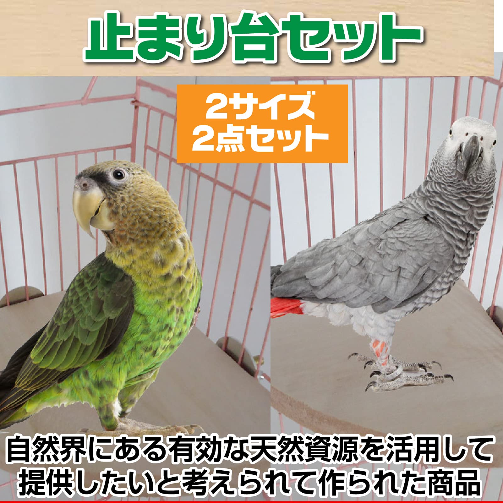 Amazon | Famimueno インコ 止まり木 パーチ 鳥 ステップ 平面 台 自然