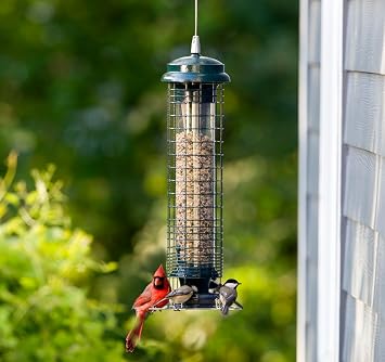 Brome Squirrel Solution 150 Squirrel-Proof Bird Feeder for Wild Birds 4 Stainless Steel Perches, 2.6 lb Seed Capacity, Chew-Proof, Free Seed Funnel Included