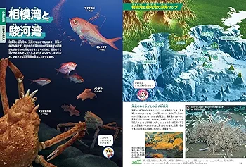 新品あり 14冊まとめ売り 講談社の動く図鑑 move 13冊 角川の集める図鑑 講談社の動く図鑑MOVE他☆18冊セット☆まとめ売り - メルカリ