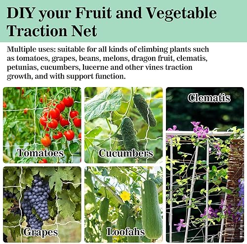 Miniatura 7 de Sukh - 2 redes de enrejado para plantas de jardín, 5 x 15 pies, red de enrejado de poliéster, malla cuadrada de jardín para plantas trepadoras,