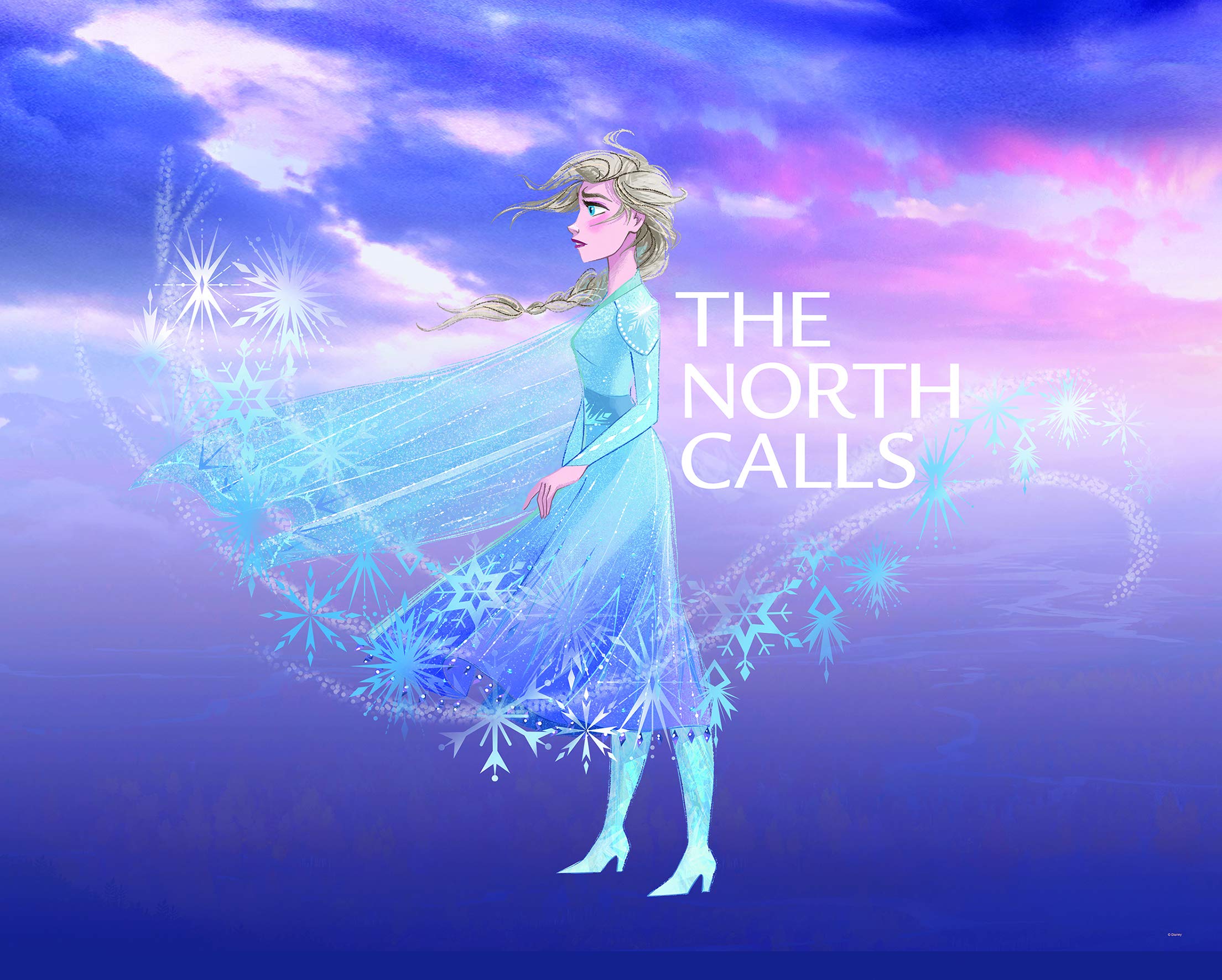 Komar Disney Wall Picture Frozen ELSA The North Calls Children's Room Decoration Art Print Without Frame Available in 3 Sizes, Colourful, WB073-50x40