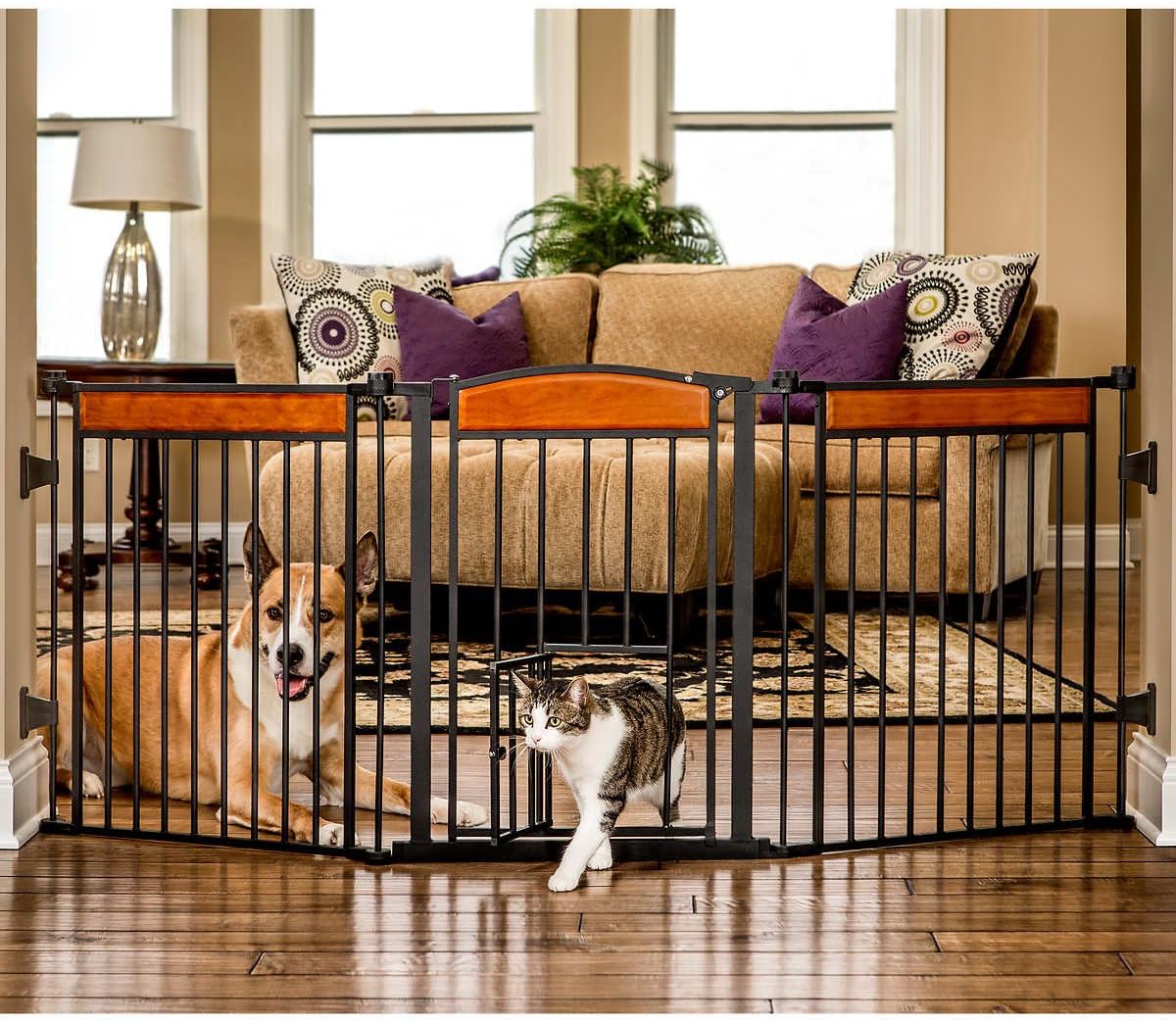 Carlson Design Paw Arched Flexi Pet Gate Amazon.ca Pet Supplies