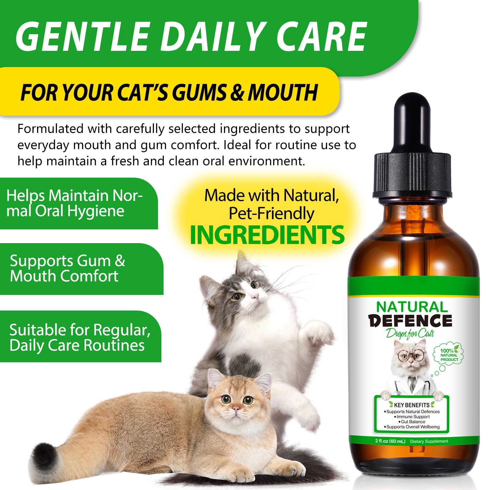 Fórmula Natural Antibacteriana para Gatos 60ml – Apoya el Sistema Inmunológico y Alivia Las Alergias – Alivio del Picor, Problemas de Oídos, Piel y Tracto Urinario – para Todas Las Razas y Edades