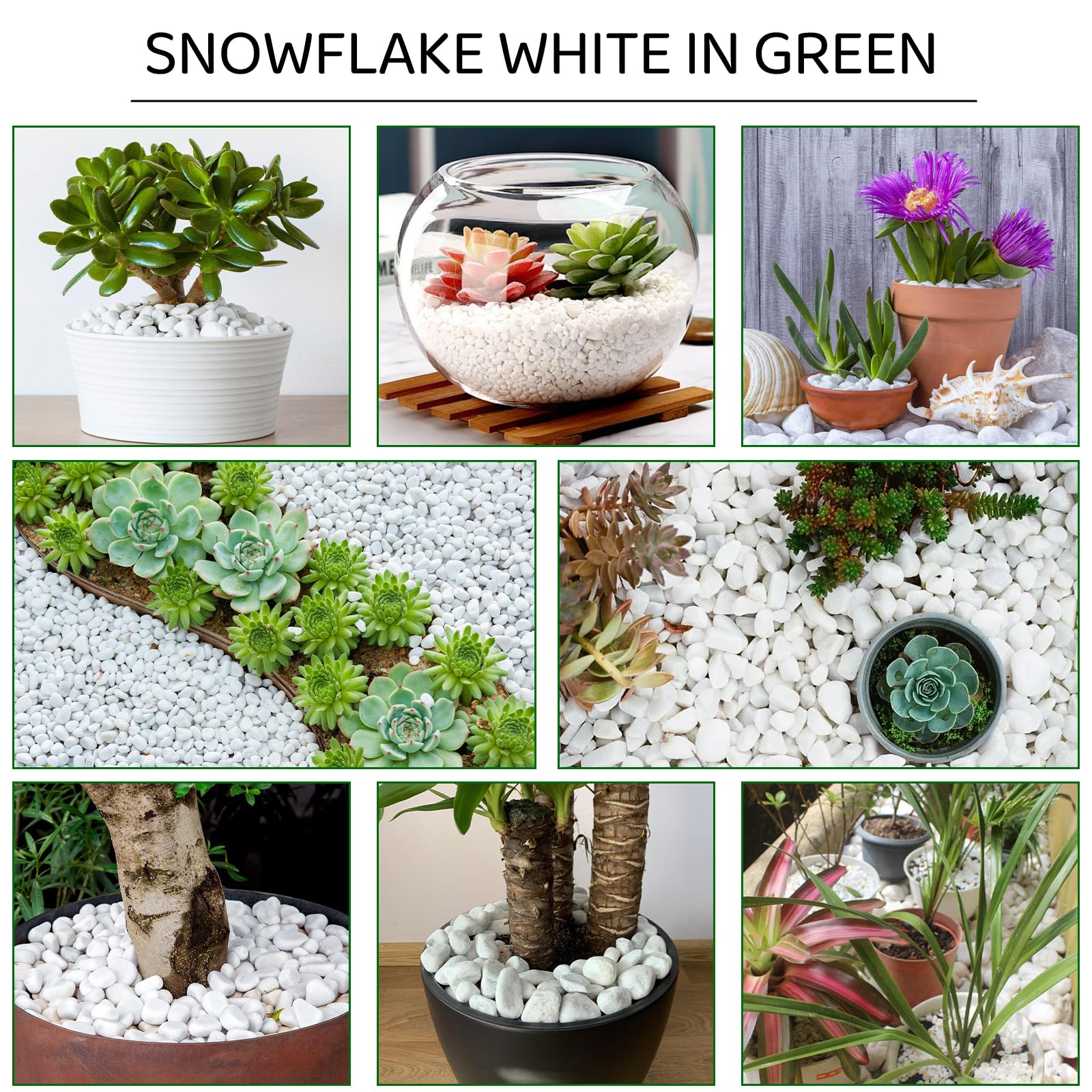 dellyy Pietre Decorative Bianche, Piccole Ghiaia Giardino, Ciottoli Decorativi Vasi, Piccole Ciottoli Bianchi, Pietre Bianche Decorative, Piccole Bianco Ghiaia per Vasi Fiori, Giardini, Acquari (500)