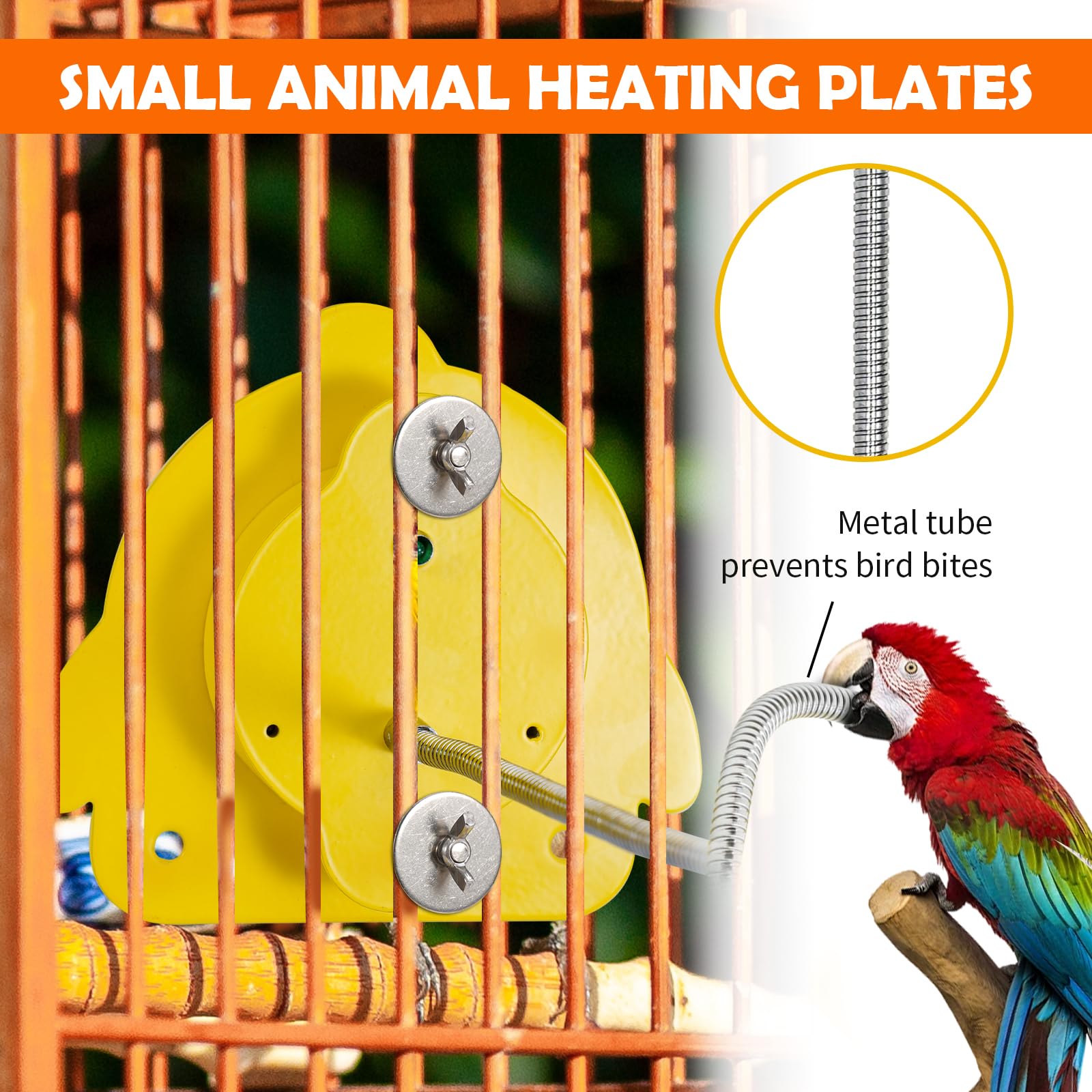 Calentador de pájaros para jaula, calefactor de pájaros con soporte de pájaros, calefacción termostática del gallinero, 12 V, calefacción para pequeños animales, loro, pollito, hámster