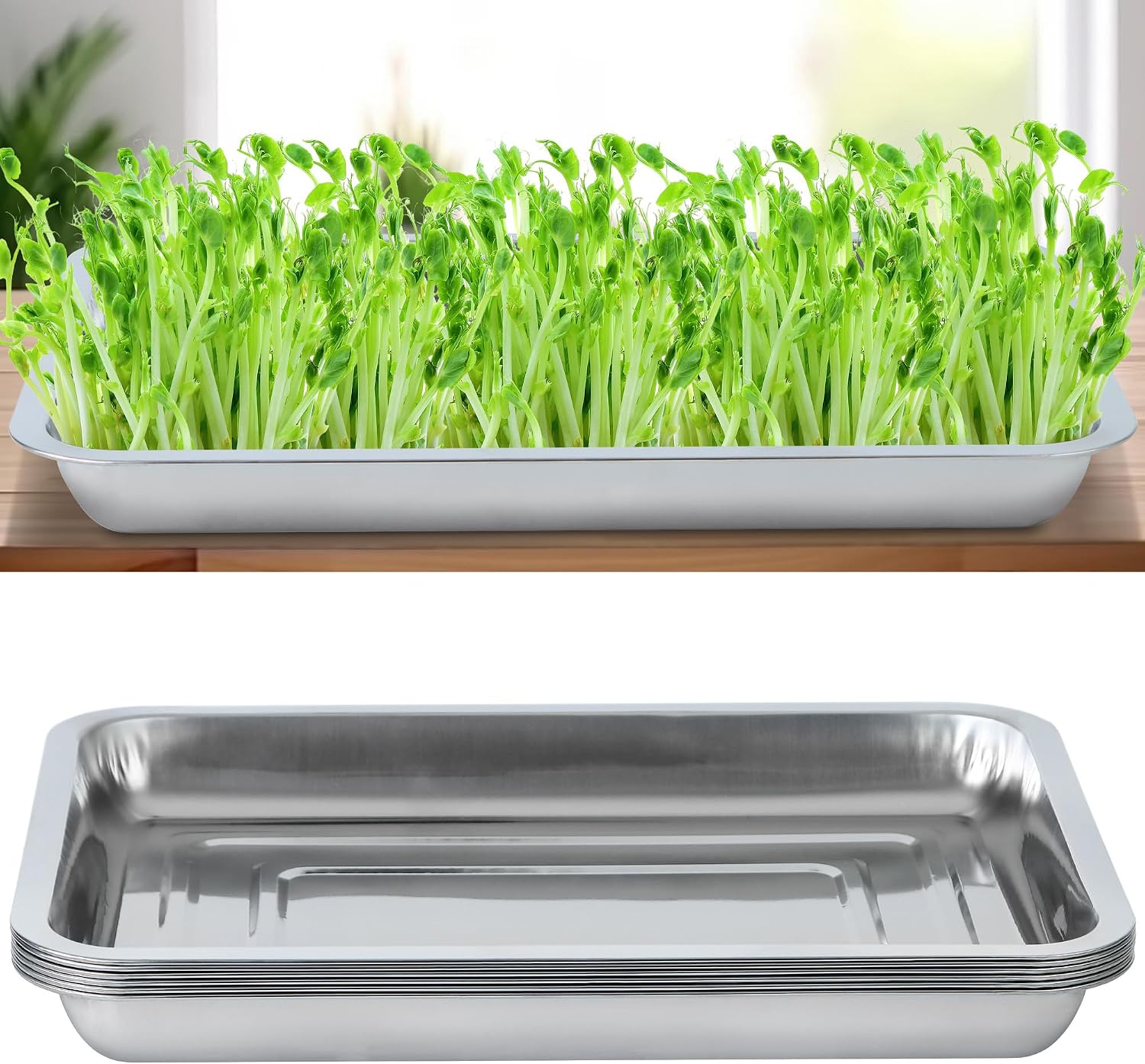 6 Pack Sprouting Tray Kit Seed Starter Tray Plant Germination Trays