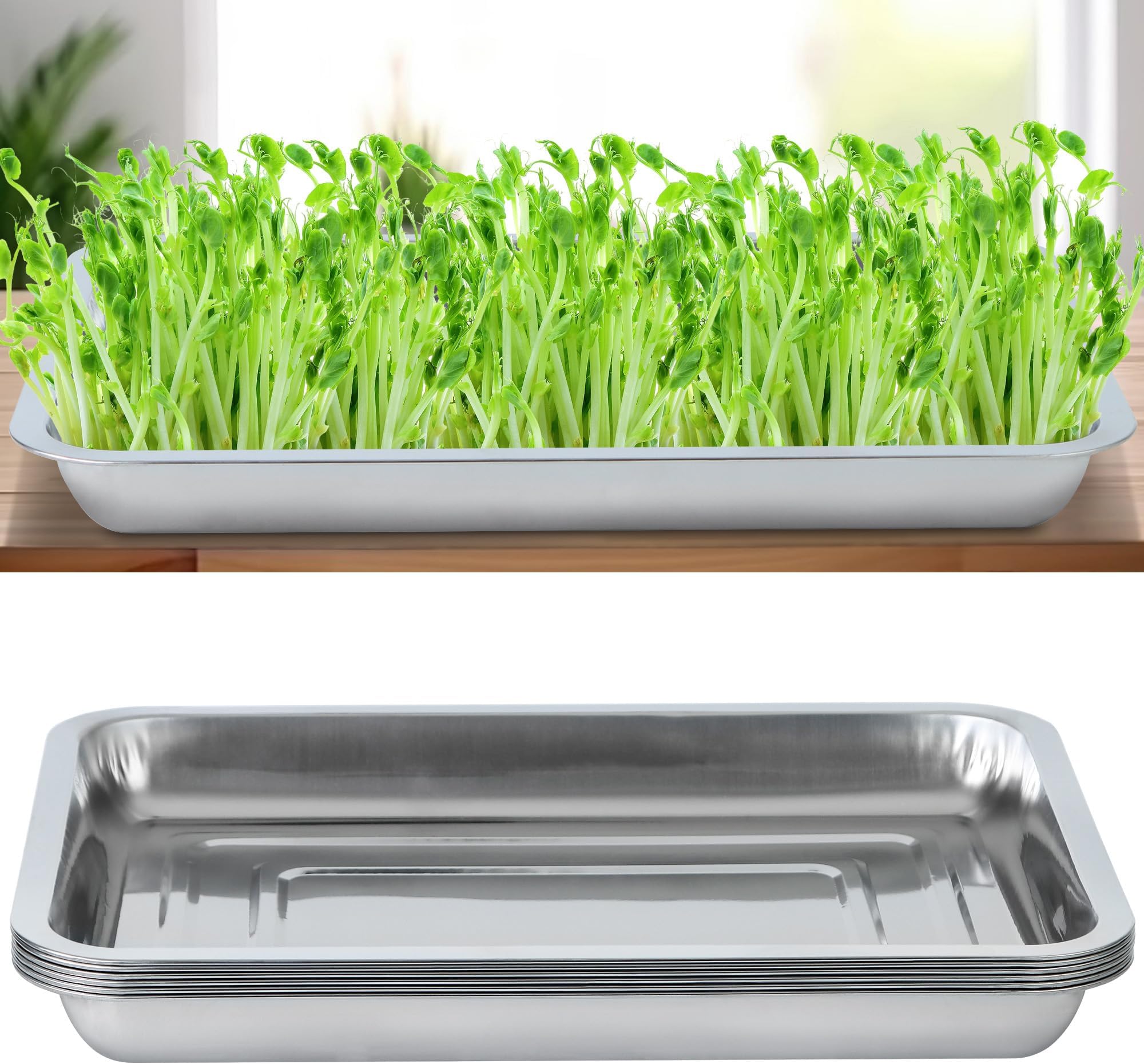 6 Pack Sprouting Tray Kit Seed Starter Tray Plant Germination Trays