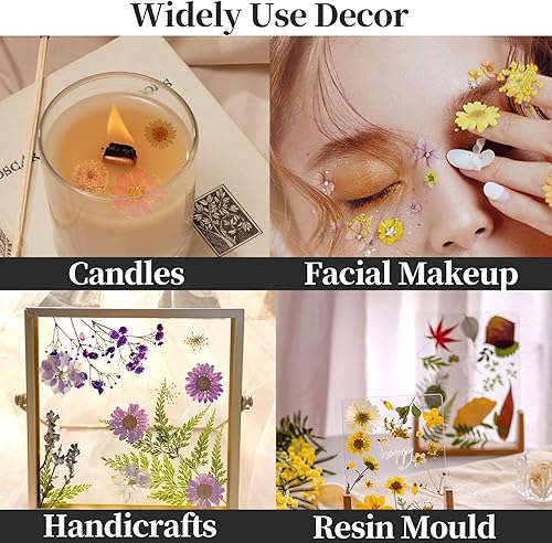Miniatura 5 de CONVELIFE Flores secas azules, flores secas prensadas naturales y hojas, flores secas para resina con pinzas para álbumes de recortes, manualidades