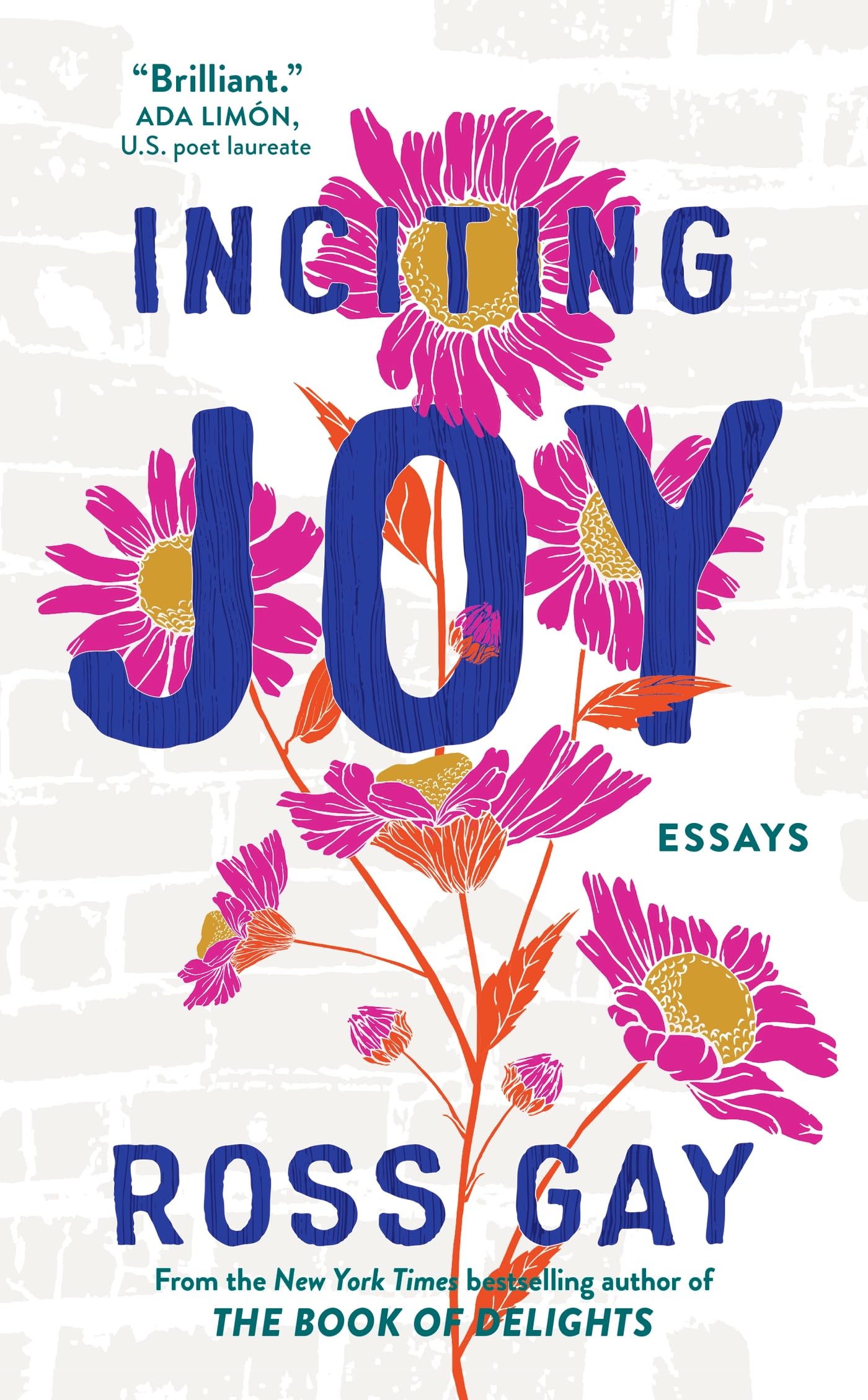 Inciting Joy Essays by Ross Gay Hardcover UK First Edition Book