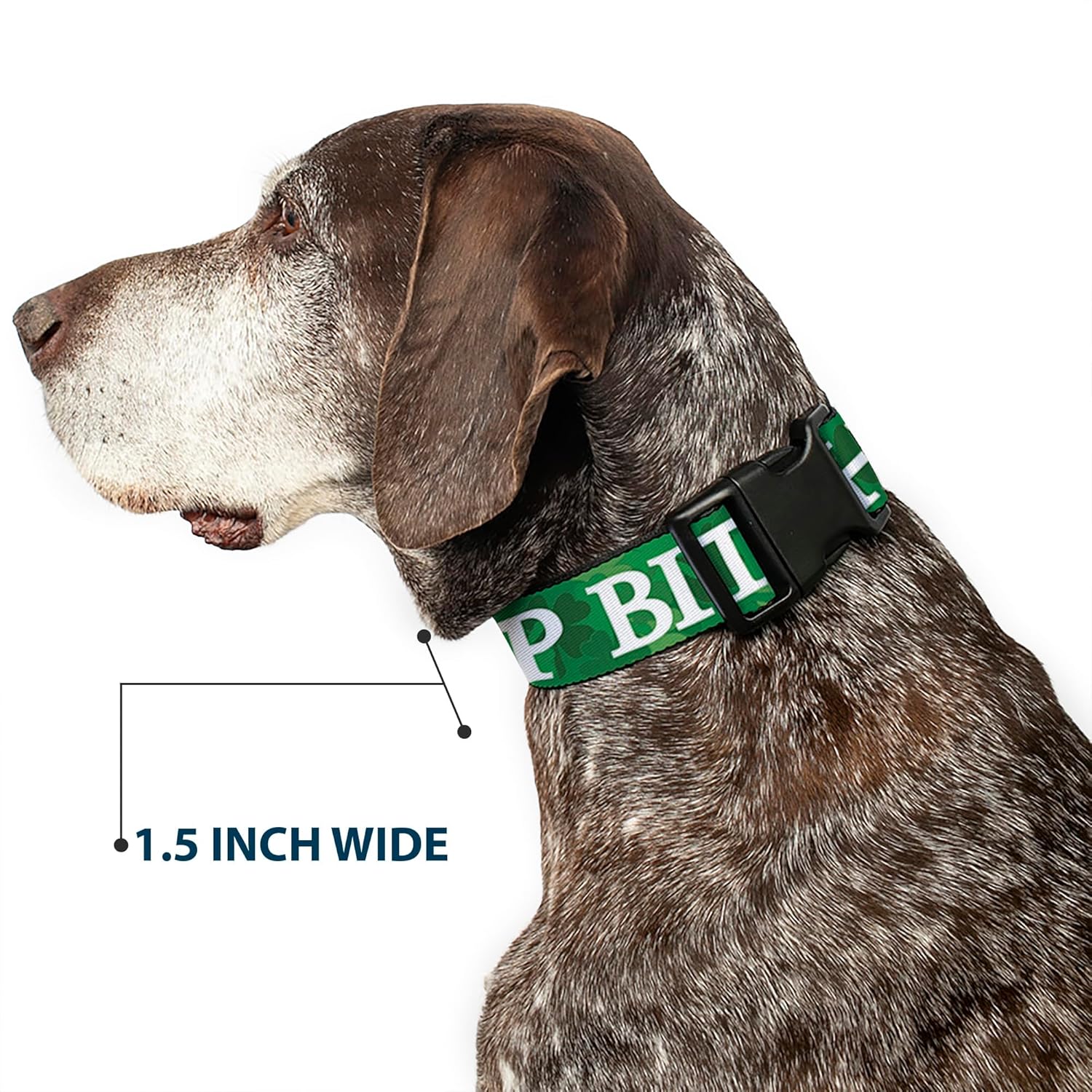Plastic Clip Collar - St. Pat's Drink UP Bitches Stacked Shamrocks Greens White - Wide-Small 13-18"