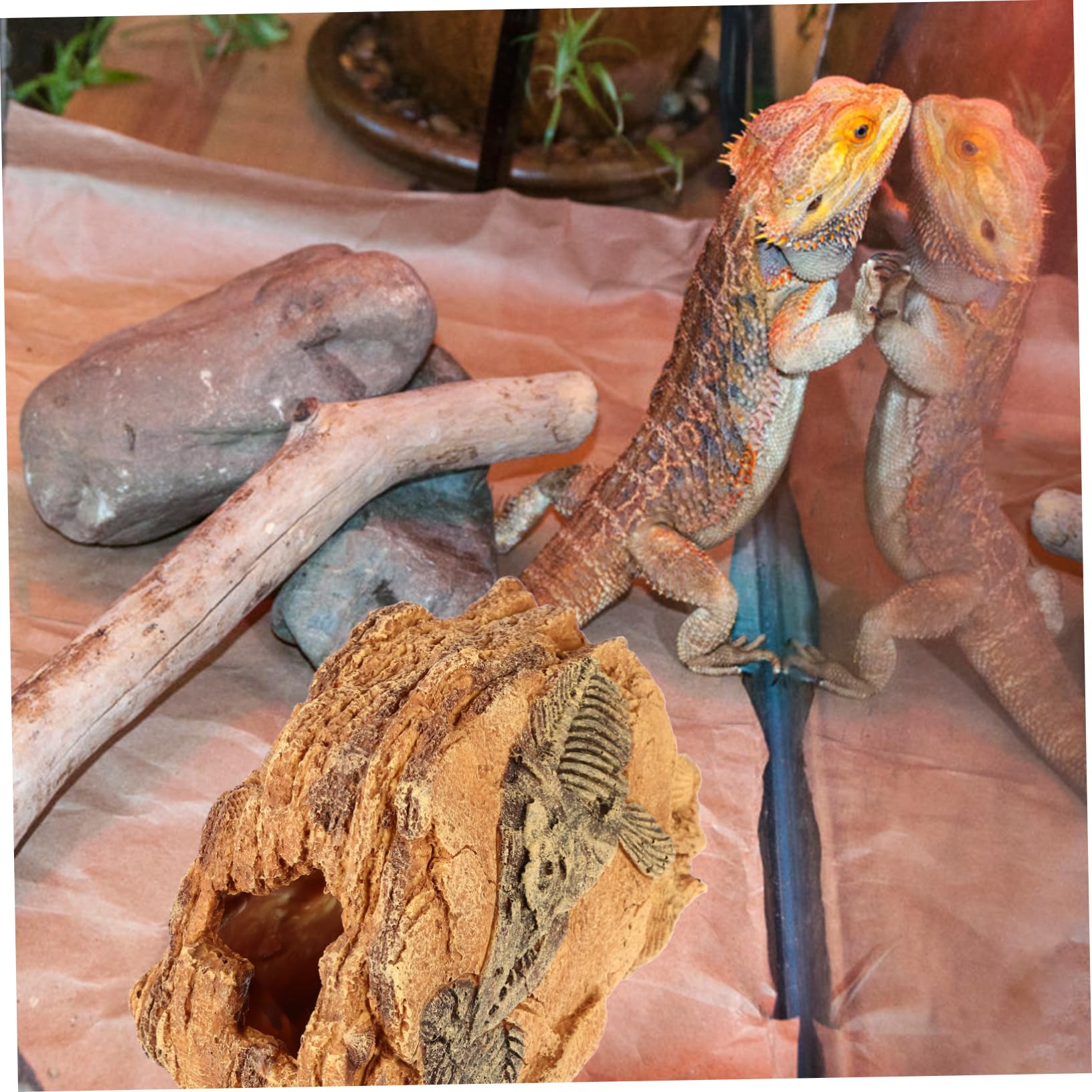 Caverna Nascondiglio in Resina per Rettili per Terrario | Forma a Grotta, Resistente alle Macchie, Sicura per L’uso Rettili, Decorazione per Habitat
